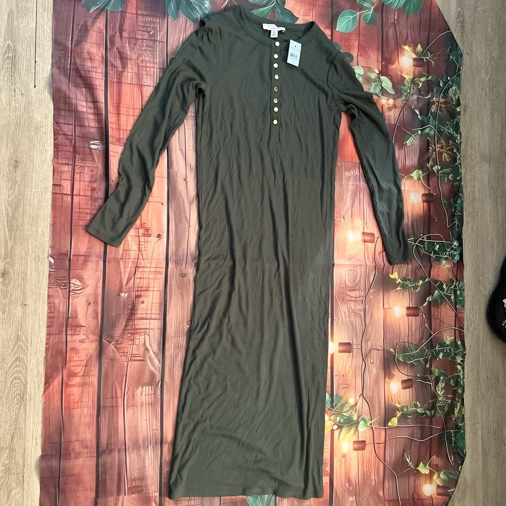 Ann Taylor Forest Green Long Sleeve Dress